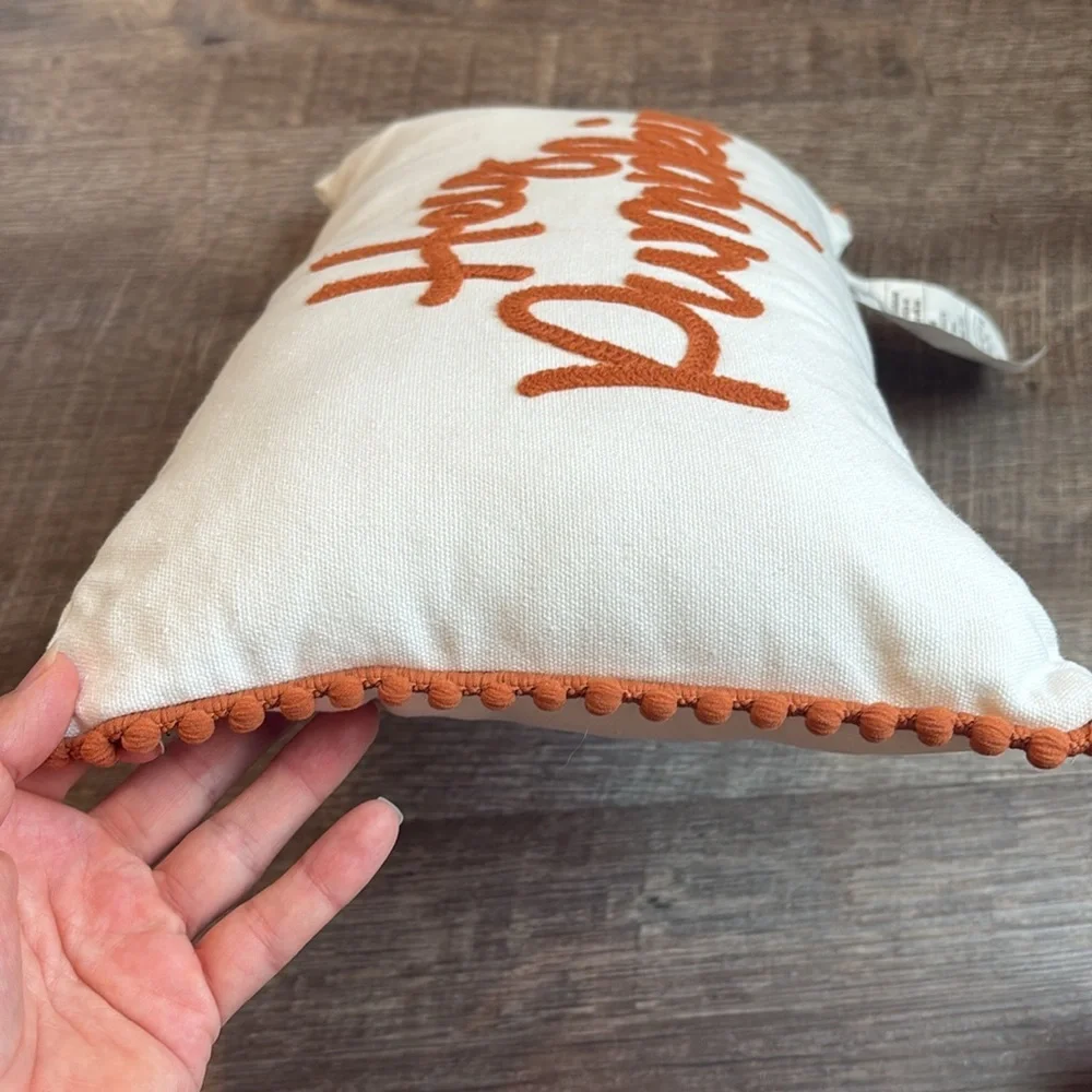 Target Pumpkin Gourd Festive Autumn Throw Pillow Set of 3 Fall Halloween
